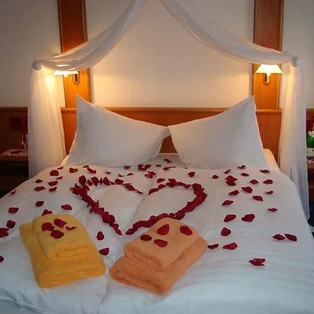 Adler-hotel 게스트하우스 3*